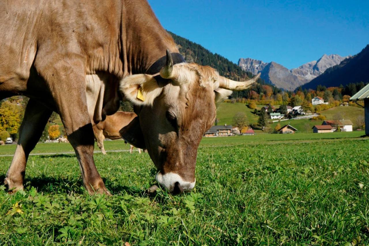 Wiesenblick Oberstdorf Exterior foto